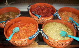 mole de jumil Guerrero